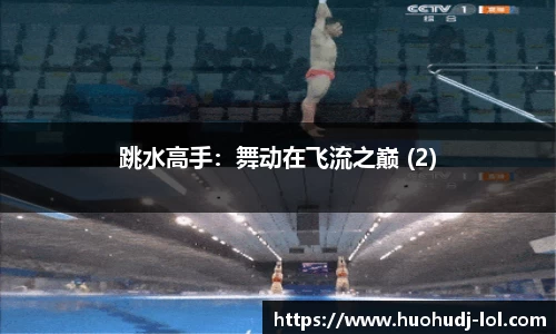跳水高手：舞动在飞流之巅 (2)